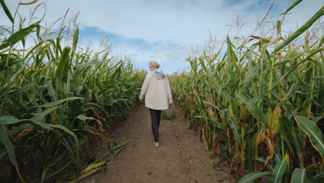 A-Young-Woman-Walks-Through-An-Autumn-Maze-In-An-American-Farm