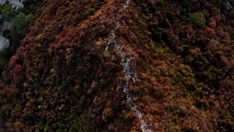 Colores-De-Los-árboles-Del-Bosque-De-Otoño-En-La-Cresta-De-La-Montaña,-Pan-De-Vista-De-Pájaro-Aéreo