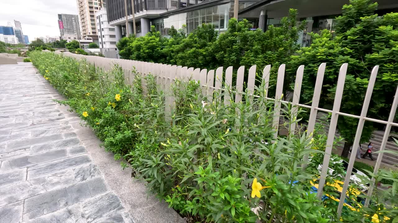 Steady camera moves beside city walkway, white fence, and yellow flowers under daylight