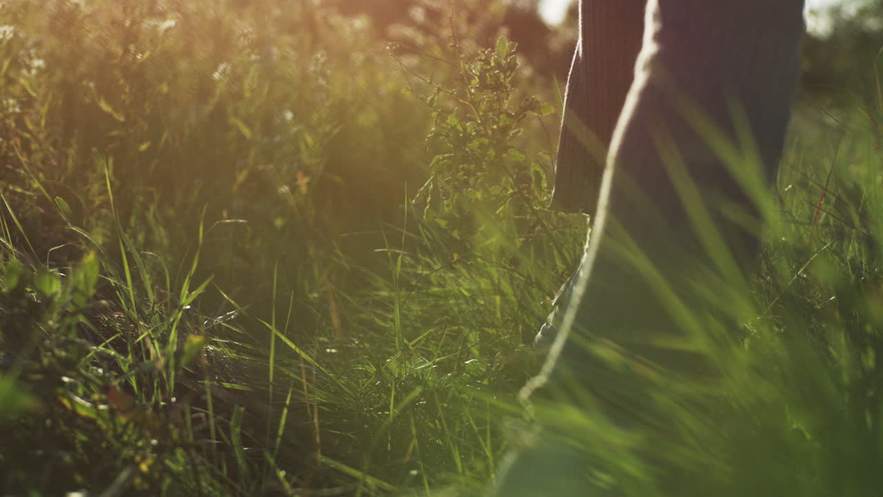 해가 지는 동안 잔디을 가로질러 는 사람