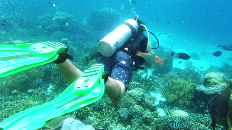 a man deep sea diving in the beautiful coral reefs