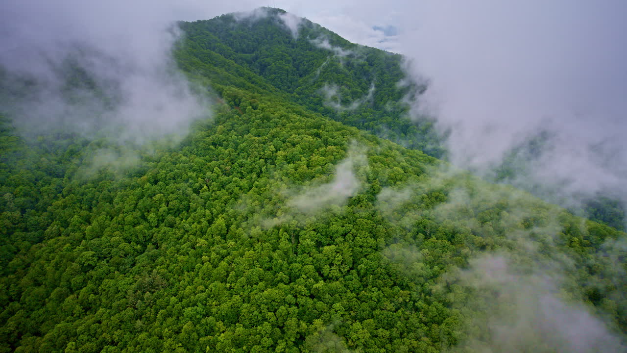 Serene drone view of the mist-wrapped Appalachian scenery