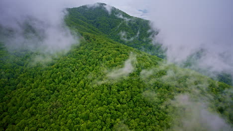 serene drone view of the mist-wrapped appalachian scenery