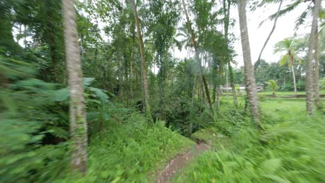 fpv drone disparó entre un denso bosque a la cascada oculta de ubud en bali