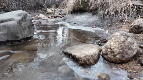 a frozen creek with rocks and ice in a winter forest, creating a serene natural atmosphere