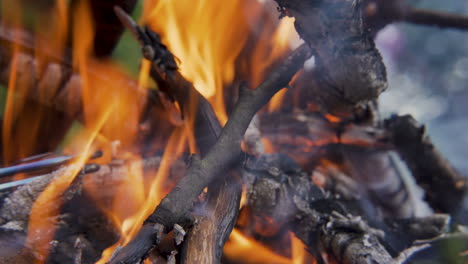 close up shot of campfire,preparing embers for grill, outdoor steak grilling