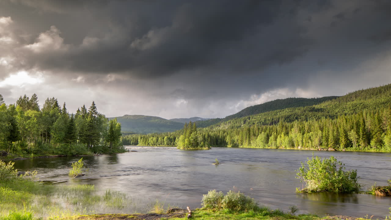 Norvegia, rapide, felce 4K 04