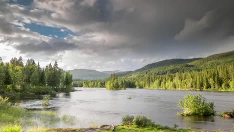 Norwegen-Stromschnellen-Farn-4k-04