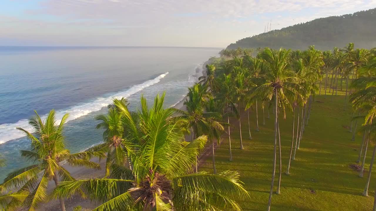 полет сквозь пальмы вдоль пляжа 2