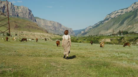 mujer caminando por un prado de montaña con vacas