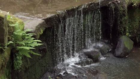 Bosque-Pacífico-Cascada-Zen-Cámara-Lenta-Cascada-De-Agua-Fresca-Que-Fluye-Cámara-Lenta-Tiro-De-Arriba-Hacia-Abajo-A-La-Izquierda