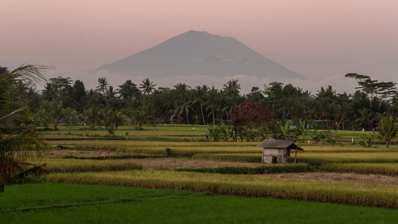 Volcanic View over Rice Paddies at Sunrise/Sunset