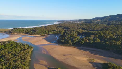 Bosque-Denso-En-La-Reserva-Natural-De-Moonee-Beach-Con-Moonee-Creek---Moonee-Beach-En-Nsw,-Australia