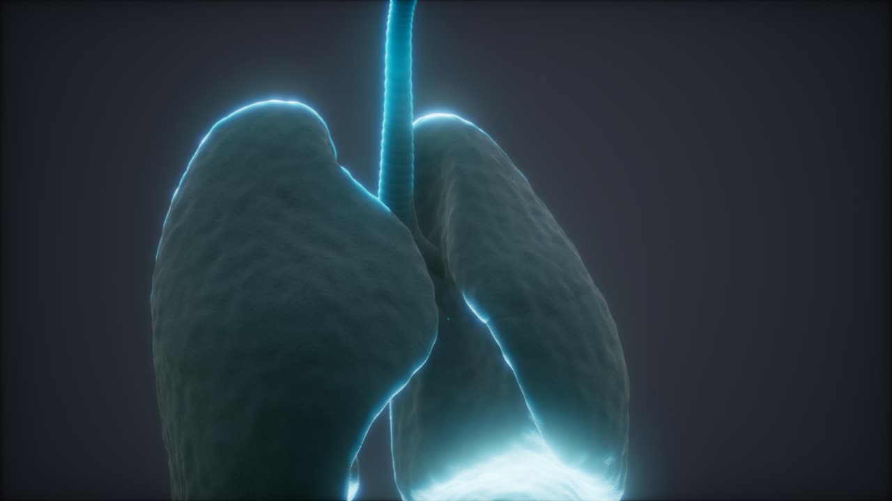 animación en 3d de los pulmones humanos