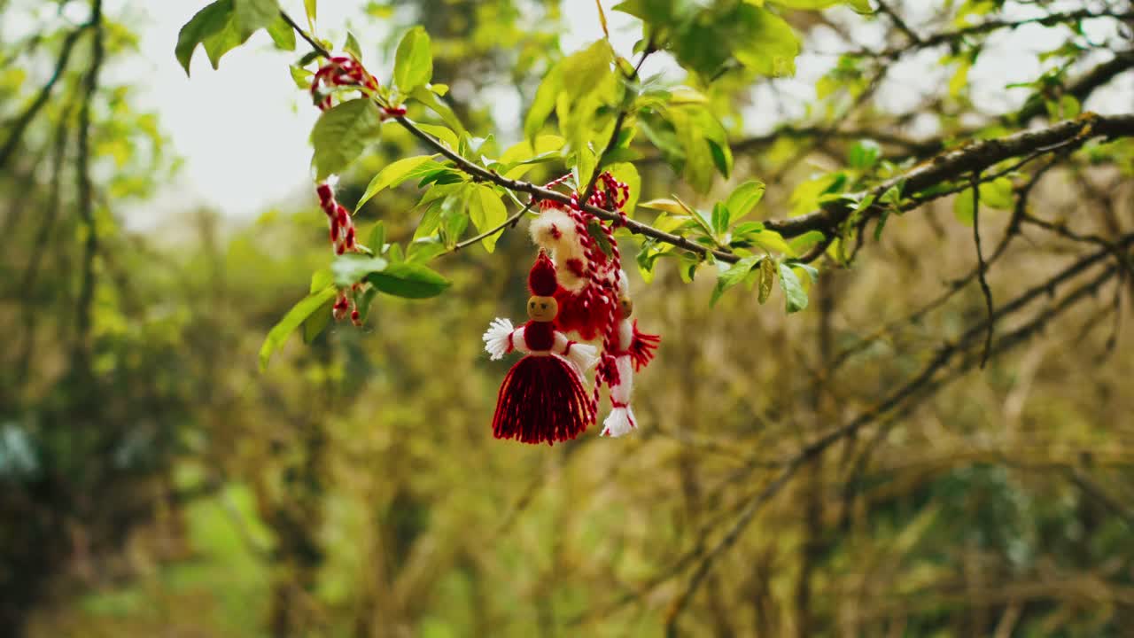 A red and white Mărțișor caught on forest branches, gently moving in the breeze — a symbol of spring woven into nature.