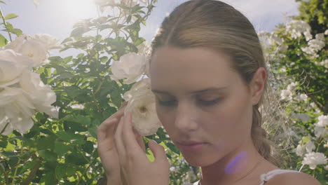 Cerrar-Hermosa-Mujer-Oliendo-Rosas-Floreciendo-En-Un-Jardín-De-Rosas-Disfrutando-De-Un-Aroma-Natural