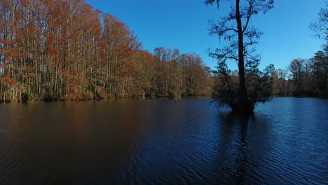 drone flies across a lake, a silhouetted tree is seen in the background
