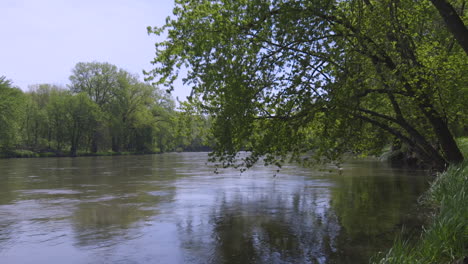 a river in iowa surrounded by trees, one is hanging over the river