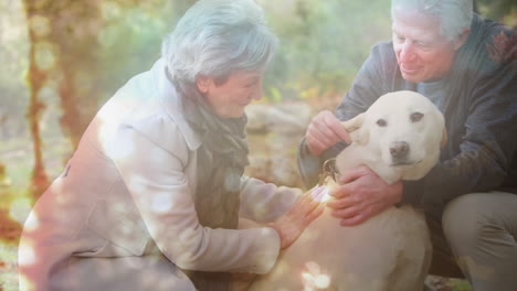 animation of glowing light over portrait of happy senior couple stroking dog