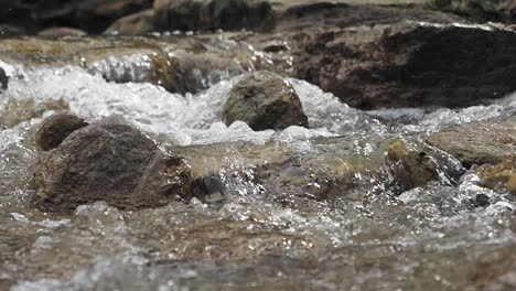 stream flowing over rocks