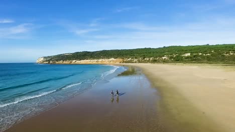 aerial view, playa caballo lush island hillside with tourists and horseback riders walking pristine sandy sunlit beach, spain