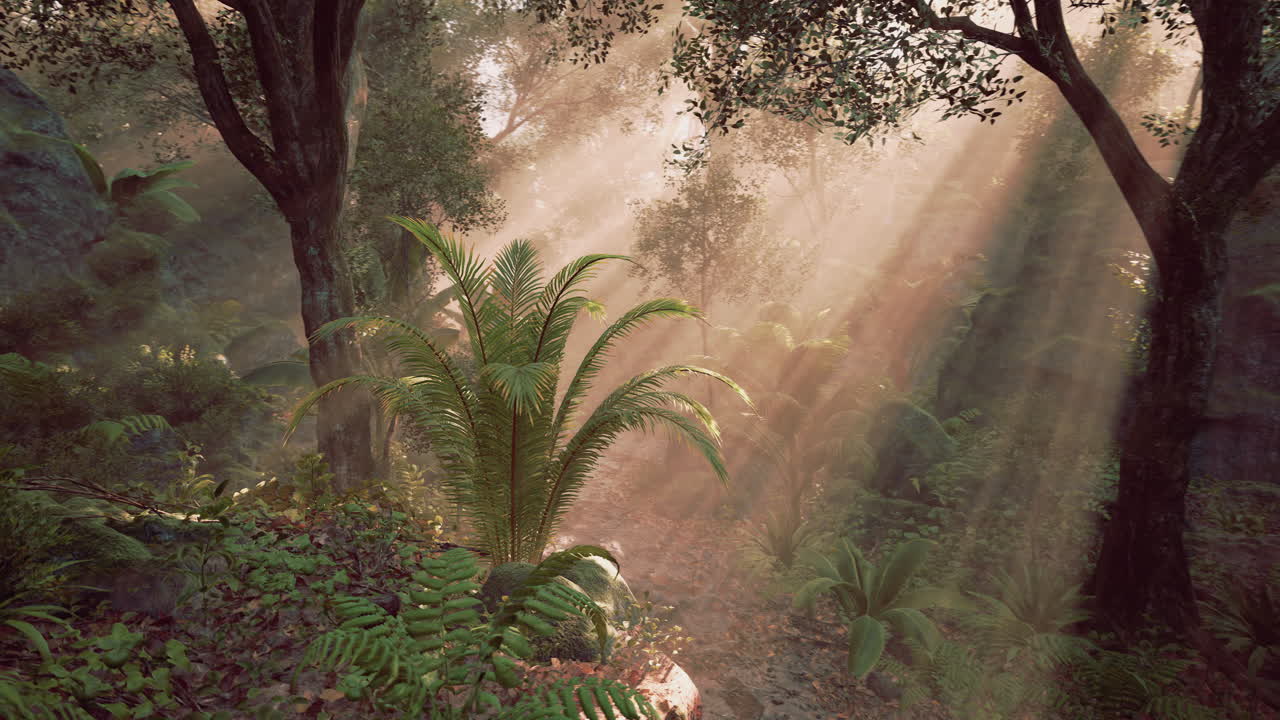 Sunlight filters through a lush forest illuminating ferns and greenery at dawn