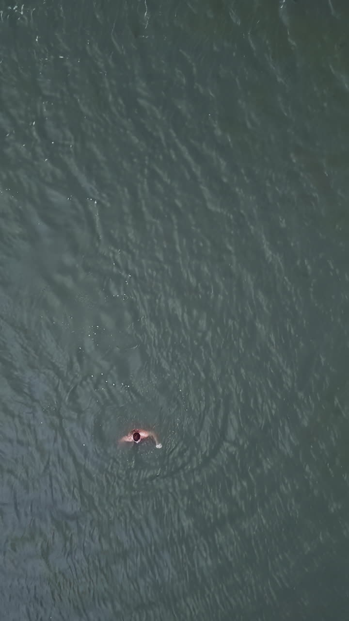 물속에서 수영하는 사람