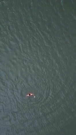 person swimming in water