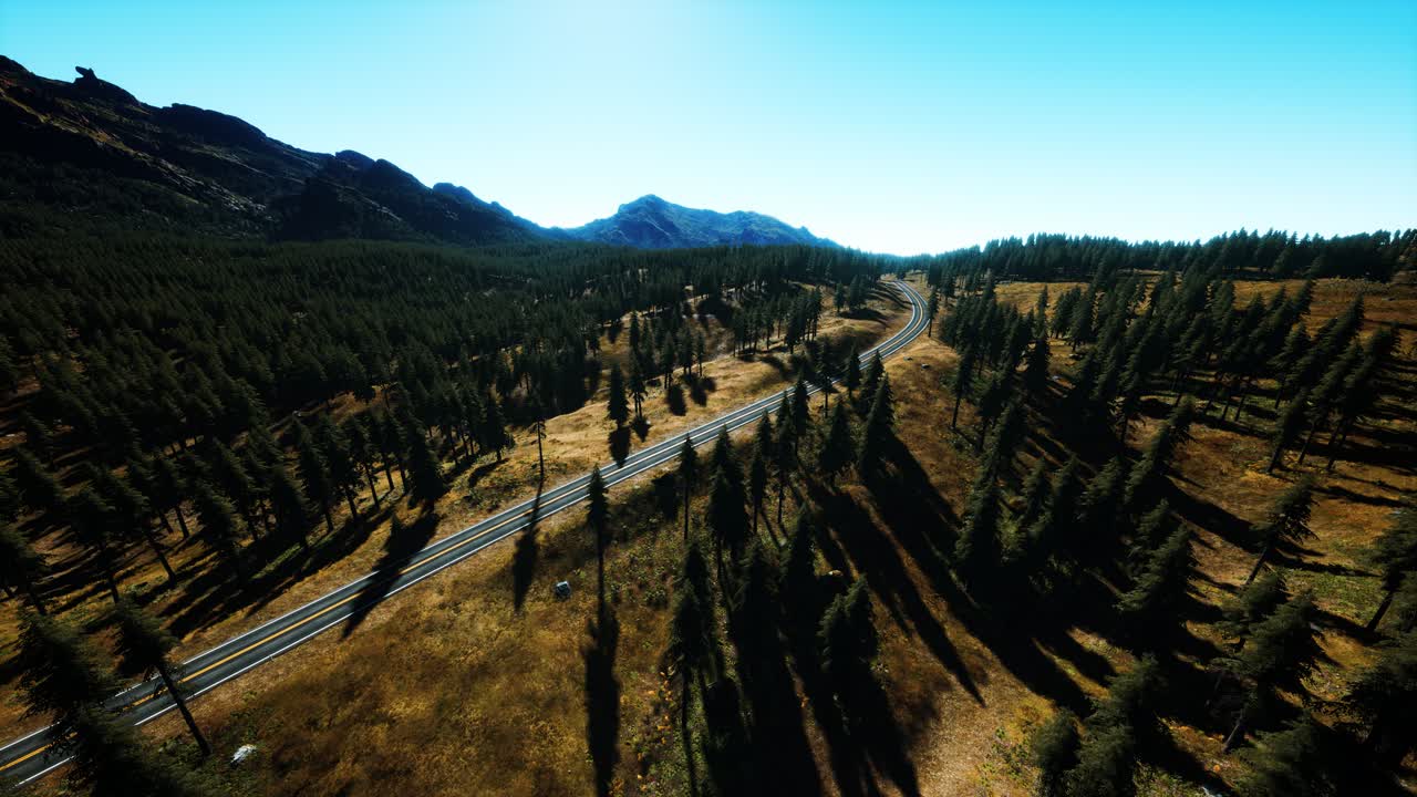 vista aérea de la carretera de montaña y el bosque
