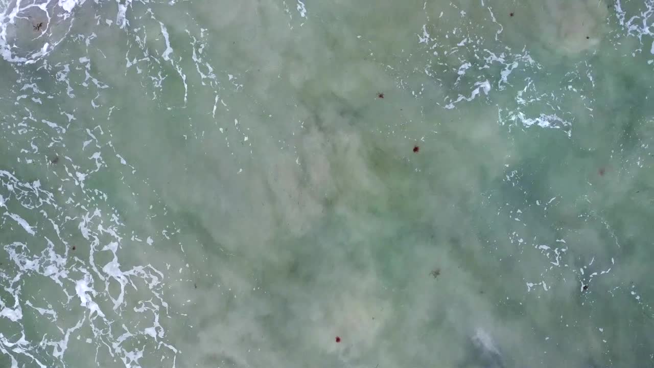 el lavado aéreo de la playa de cottesloe, inclinándose hacia el club de salvamento de surf, perth, wa