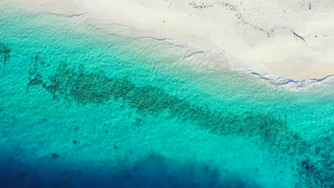 Antena-De-Hermosas-Olas-Azules-Del-Océano-Chocando-Contra-La-Orilla-De-Una-Playa-Tropical-Paradisíaca