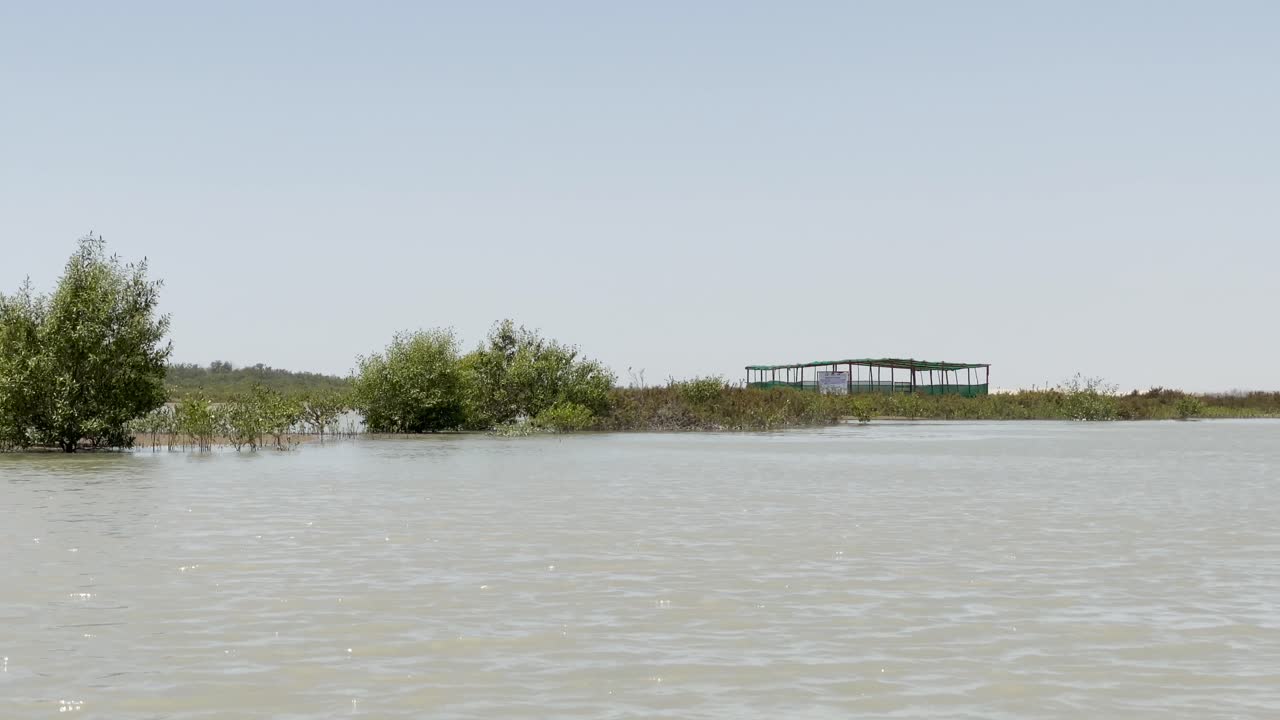 imágenes aéreas de drones del agua en el bosque de manglares en balochistán