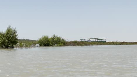 aerial drone footage of water in mangrove forest in balochistan