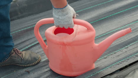 bright sunlit garden scene shows coral watering can resting on black mulch bed as gardener approaches to pick it up and water newly planted seedlings, lines of green fabric visible below