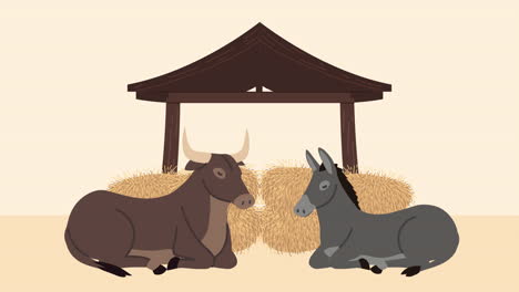 nativity scene with ox and donkey