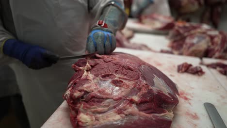 Beef-meat-filet-being-trimmed-by-worker-at-a-meat-processing-plant-table,-Close-up