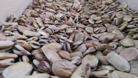 Close-up-rack-focus-across-a-pile-of-dry-Broad-or-Fava-beans