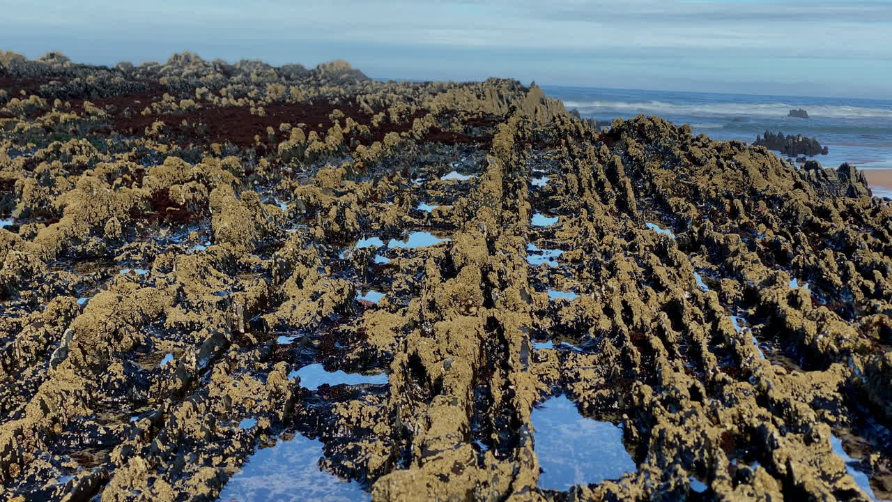 rocky patterns of the Sagres coast shimmer under sunlight, shaped by centuries of ocean tides Black rocks shimmer beneath crystal Atlantic water, blending strength and transparency