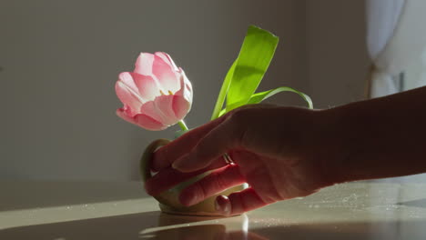 tulip elegantly arranged in a handcrafted vase, beautifully showcased against a backlit countertop