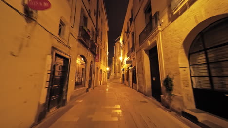 narrow street in the town montpellier during the night