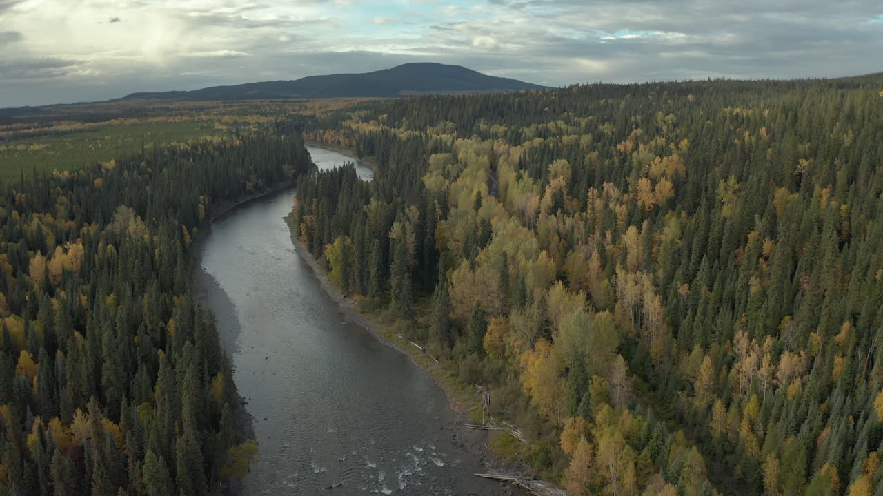 Joki mutkittelee vehreän metsämaiseman läpi auringonlaskun aikaan, Brittiläinen Kolumbia, dronekuva