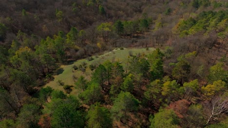paisaje montañoso densamente boscoso en primavera