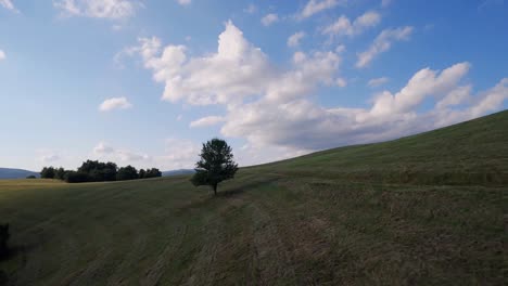 Fpv drone with action camera flying very close to the ground below trees and revealing a beautiful lake at the end. Cinematic footage of nature of National Park Poloniny. Hill called Gazdoran