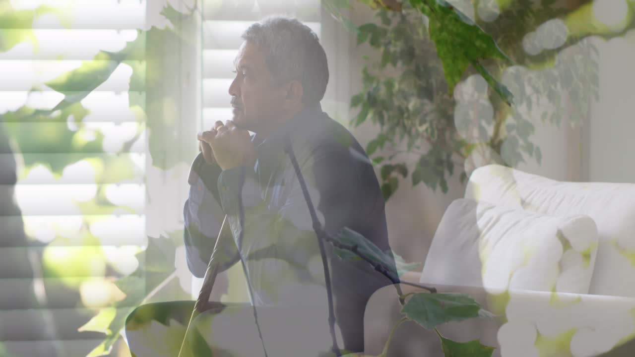 는 지이를 들고 앉아있는 고위 양색 남성 위의 잎의 애니메이션