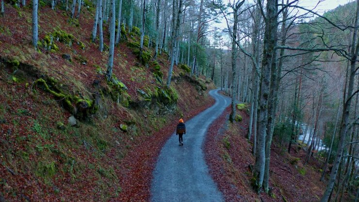 Viaggiatore anonimo che cammina nel bosco.