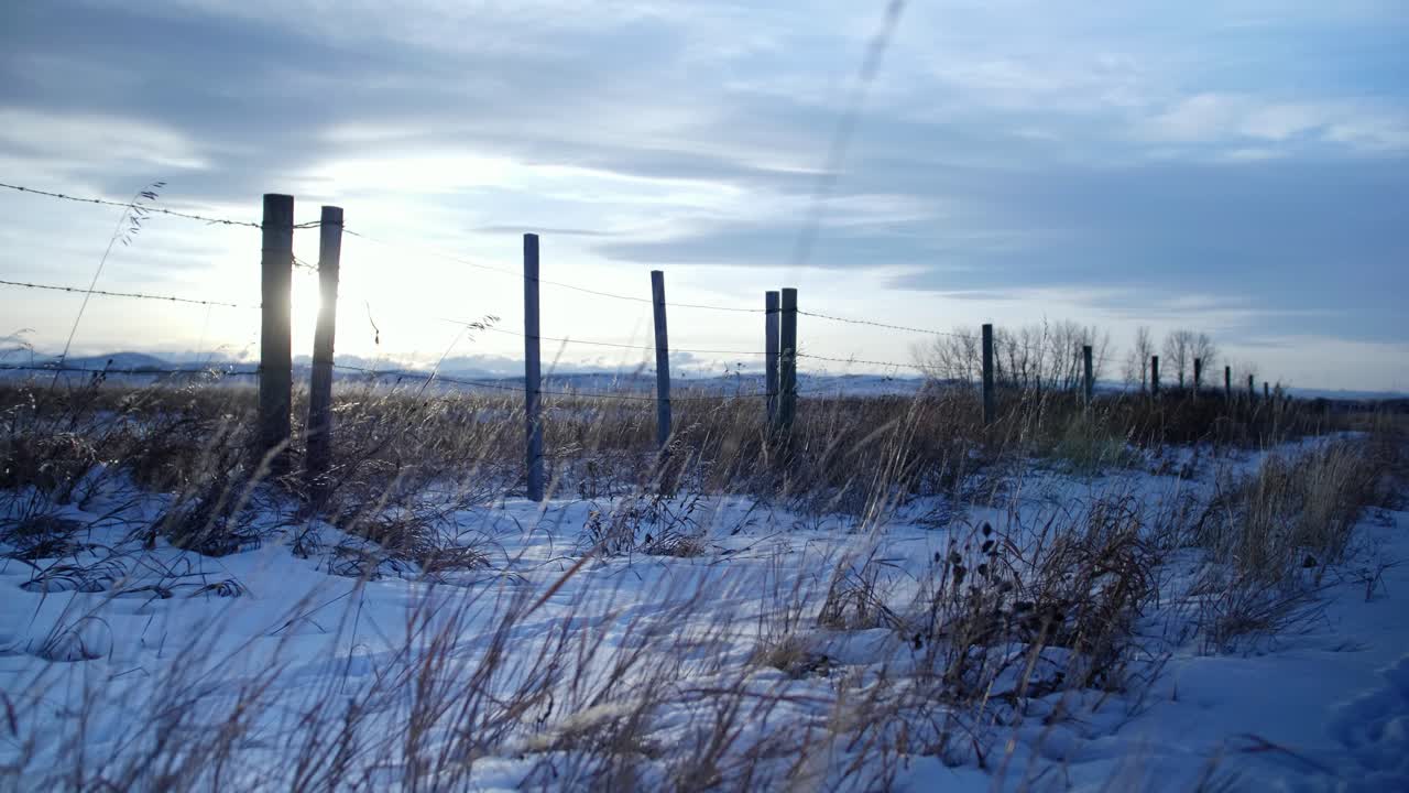 холодный зимний закат виден сквозь забор на лугах альберты, канада