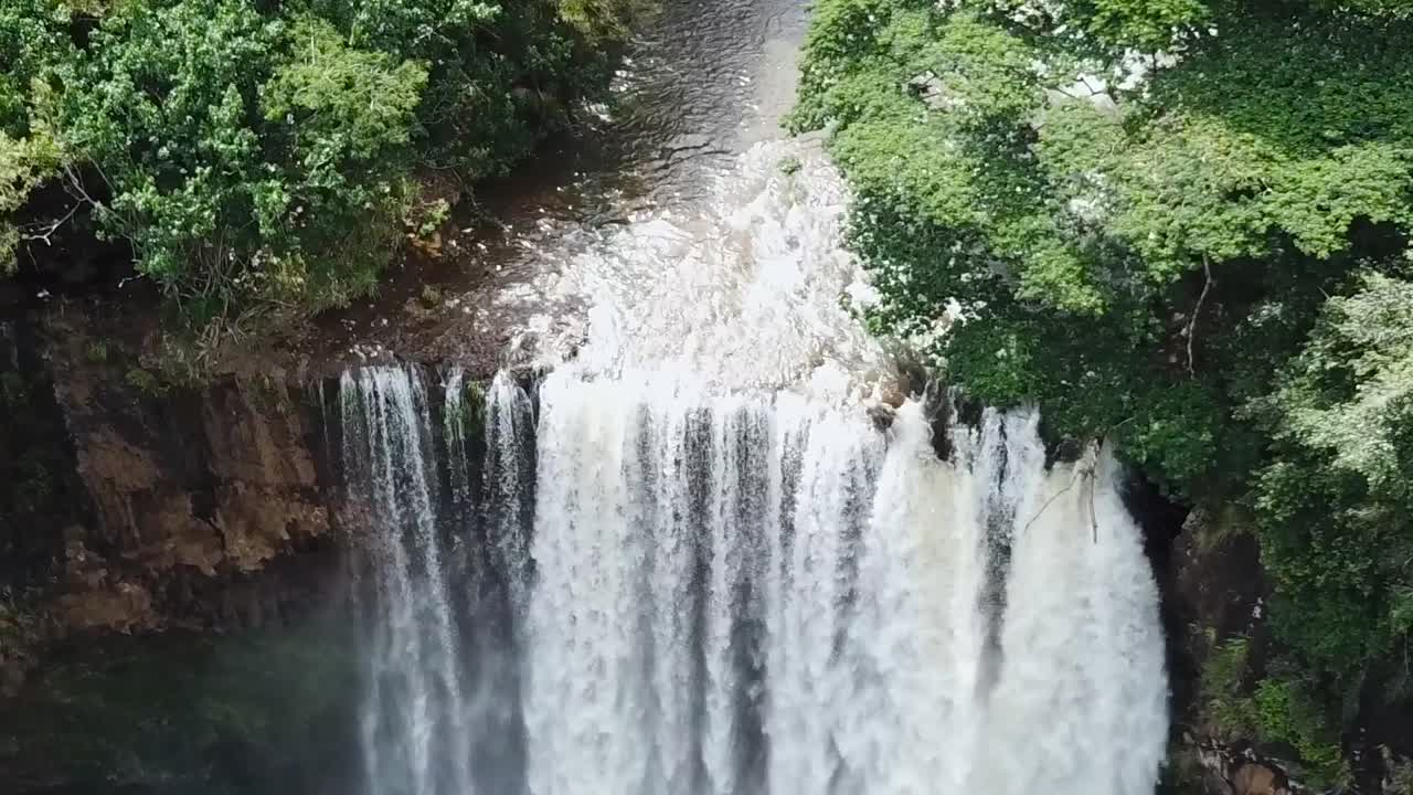 drone aéreo cascada avanzar verde bosques hawaii