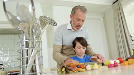 Father-assisting-son-in-chopping-vegetable