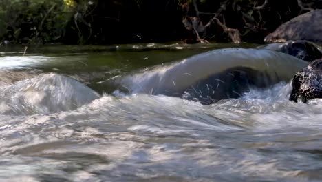 Pequeño-Y-Hermoso-Río-En-Medio-Del-Bosque-En-Brasil