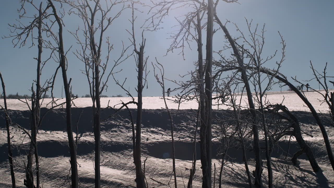 Mensen skiën ver voorbij kale winterbomen in Moldava, Tsjechië